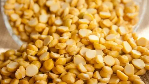 تصویر 1 از قیمت لپه صادراتی + خرید باور نکردنی